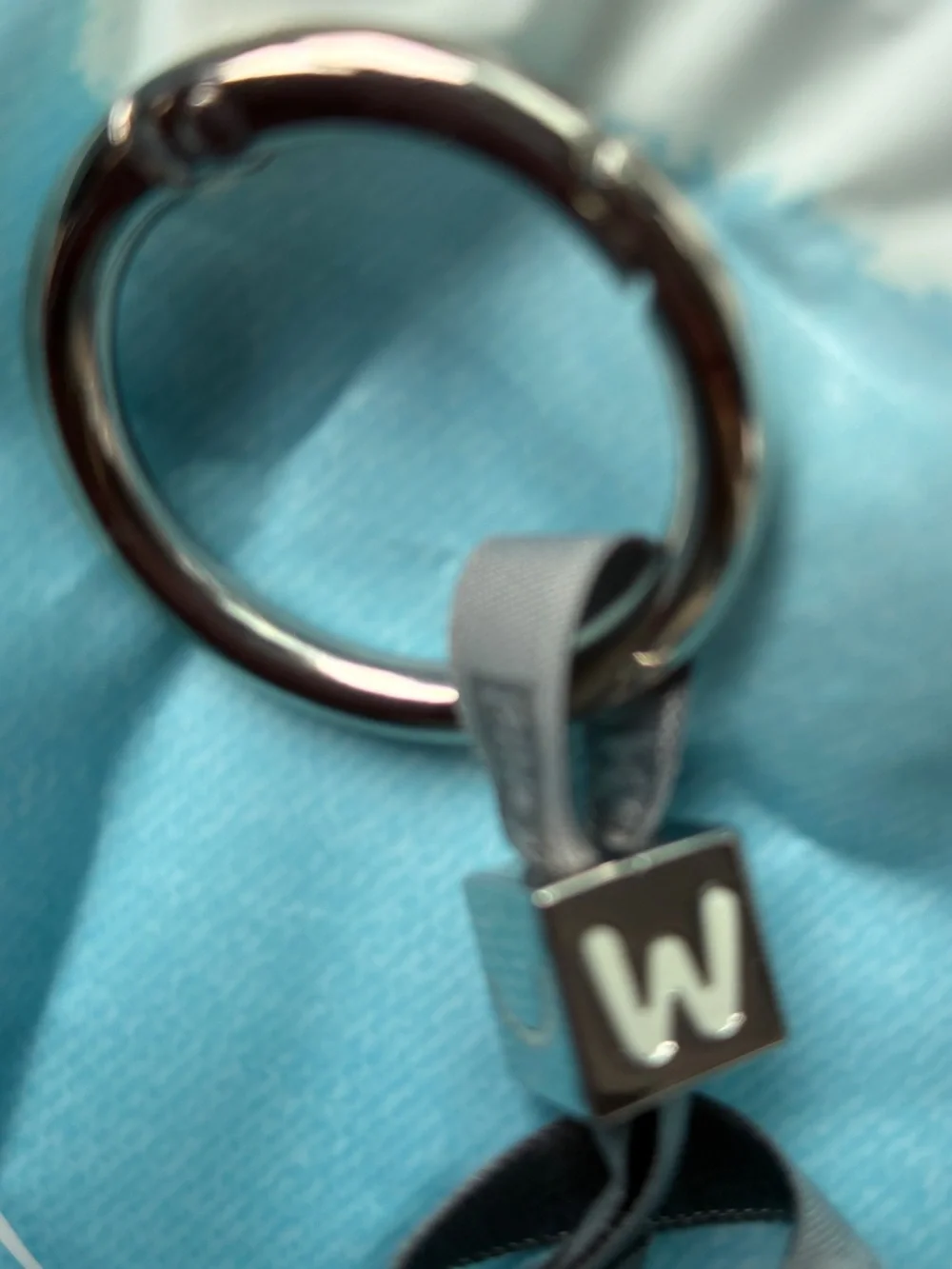 Pop Mart Labubu Pin for Love Keychain Plush Charm Letter “W”